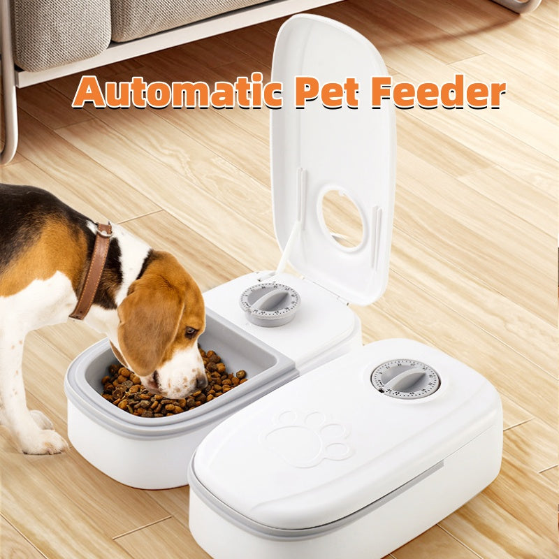 AutoBowl – Timed Pet Feeder