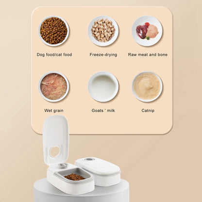 AutoBowl – Timed Pet Feeder