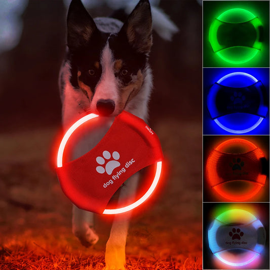 GlowFetch – The LED Flying Disc Your Dog Will Chase for Hours