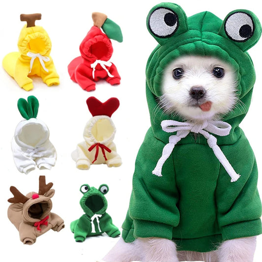 PawFrost – Warm Hoodie for Small Companions